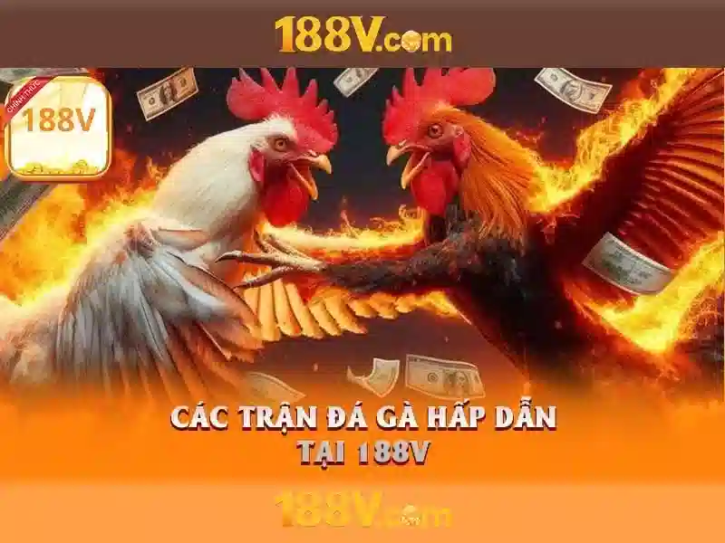 Sản phẩm và dịch vụ cốt lõi: ứng dụng thực tế của 188v tài app
