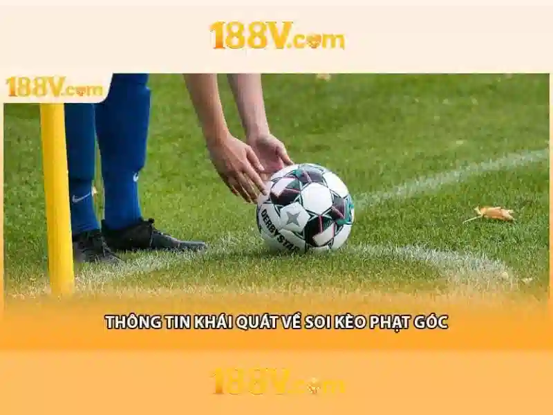 Tầm nhìn tương lai và sứ mệnh toàn cầu của nổ hũ 188v Tầm nhìn tương lai và sứ mệnh toàn cầu của nổ hũ 188v