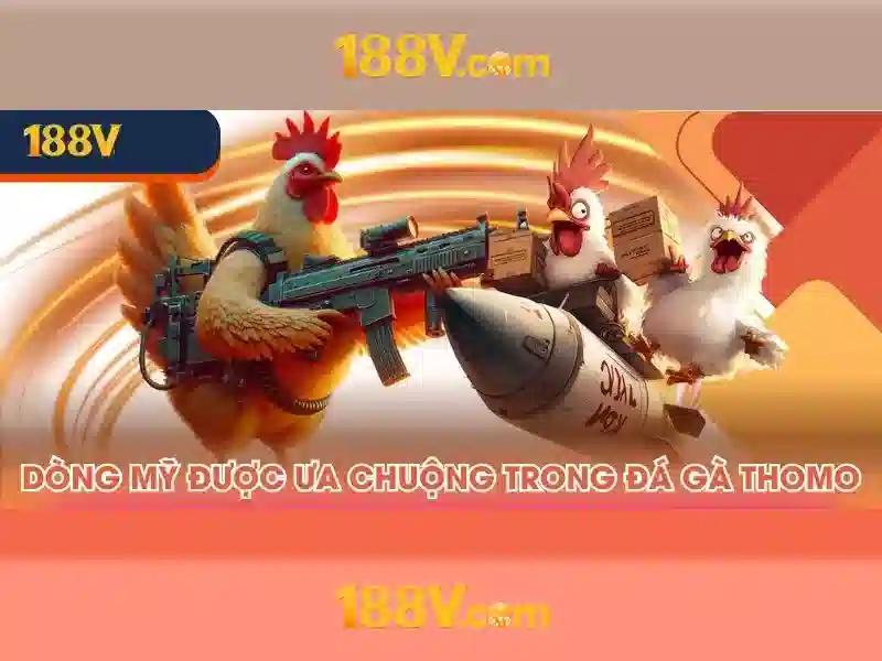 188v an toàn không: Định nghĩa, trải nghiệm và đánh giá