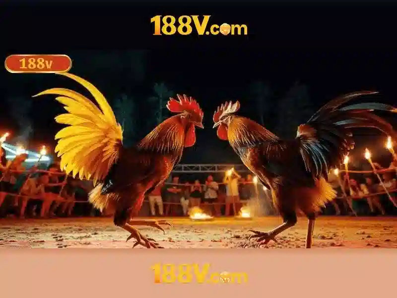 tải app 188v: hành trình trải nghiệm và giá trị thương hiệu