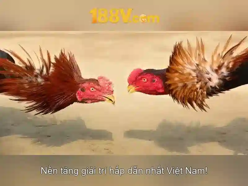 188v-com – Đổi mới trải nghiệm số và cộng đồng