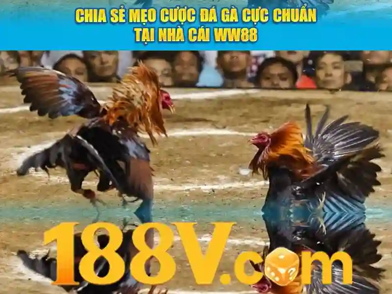 Minh-hoa-lien-he-188v